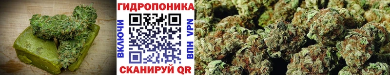 Cannafood конопля  Апатиты 