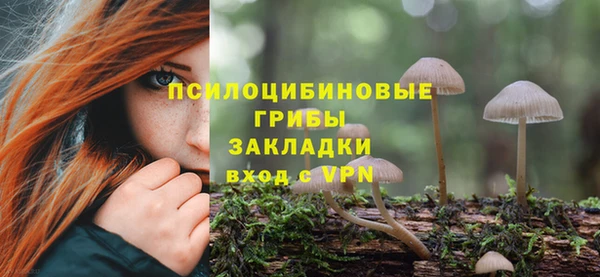 дурь Алексин