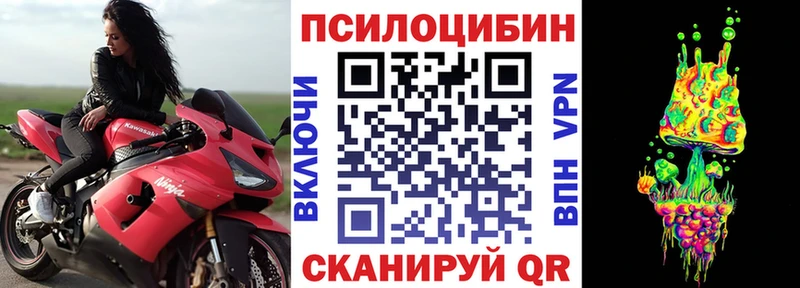 Псилоцибиновые грибы Cubensis гидра tor Апатиты купить наркоту